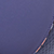 75N Purple