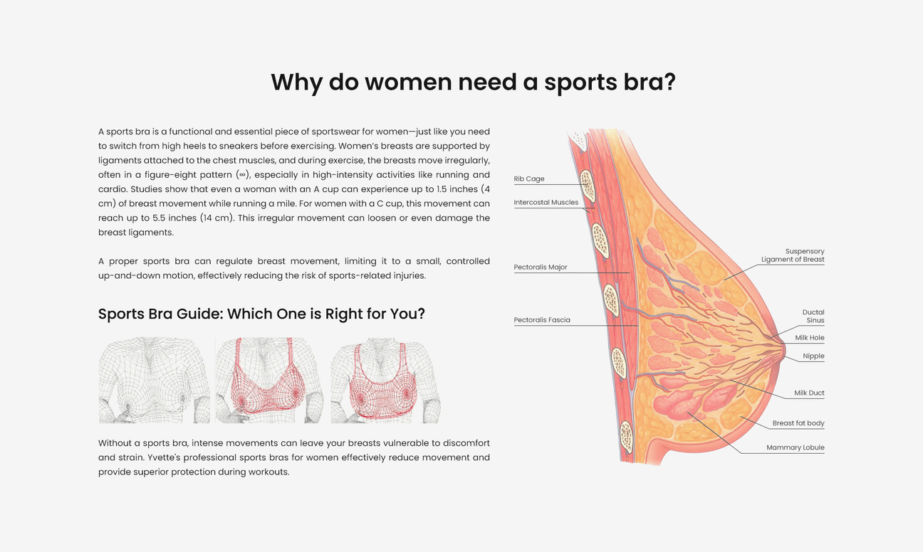Yvette® Sports Bra Buying Guide Yvette